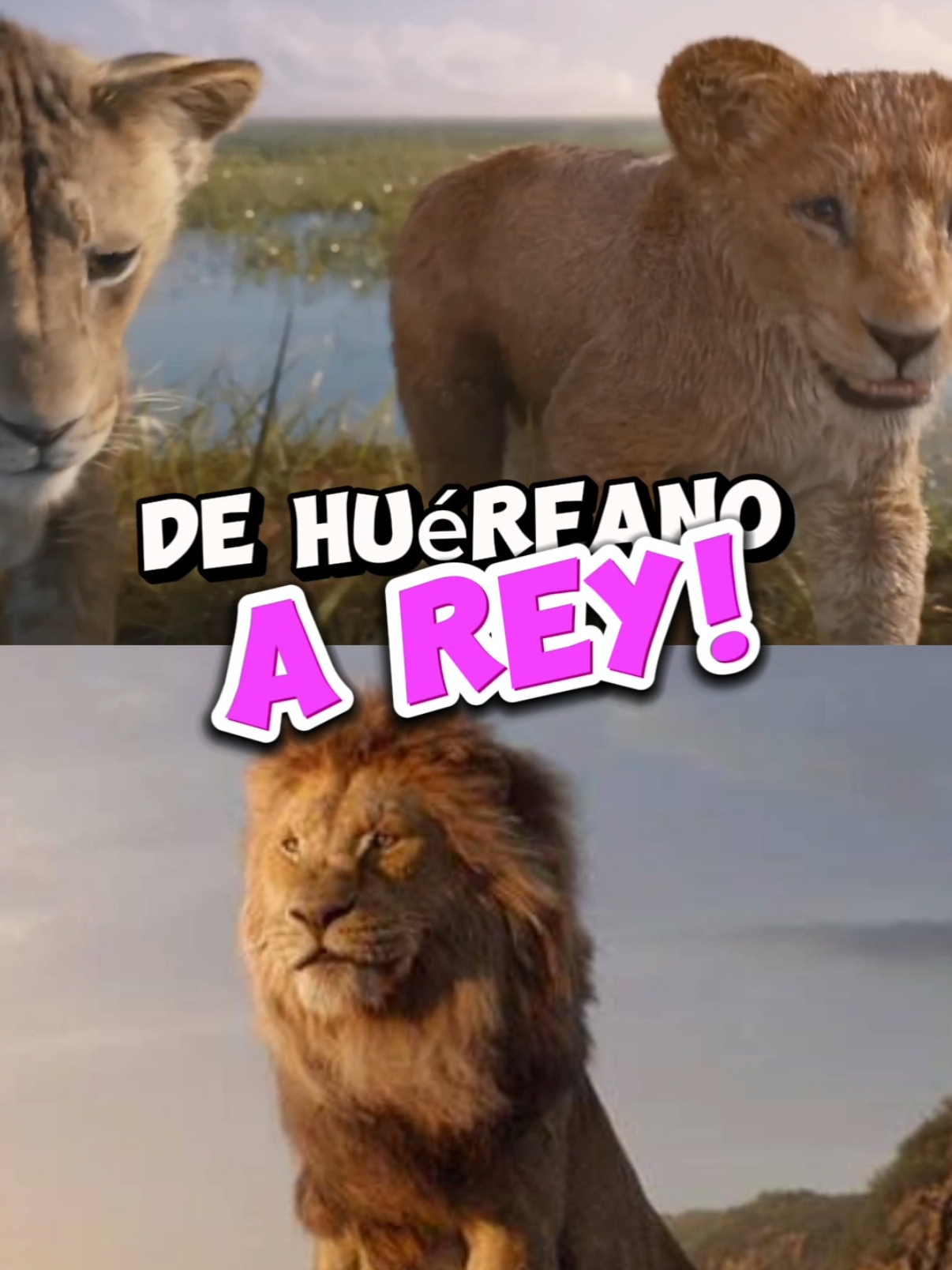 Ya pronto se estrena la película de Mufasa en cines y aquí te comparto algunas curiosidades. #Freakworldmx #Bernak #ReyLeon #Mufasa #Curiosidades #Disney #Scar #Liveaction