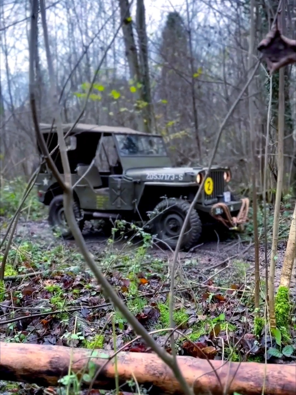 la Willys part en Offroad 💪 - - - - - - - - #voiture #mecanique #oldtimer #usarmy #jeep #jeepwillys #usa #belgique🇧🇪 #foret #champ #forest #offroad #offroad4x4 @quimauve🍆 