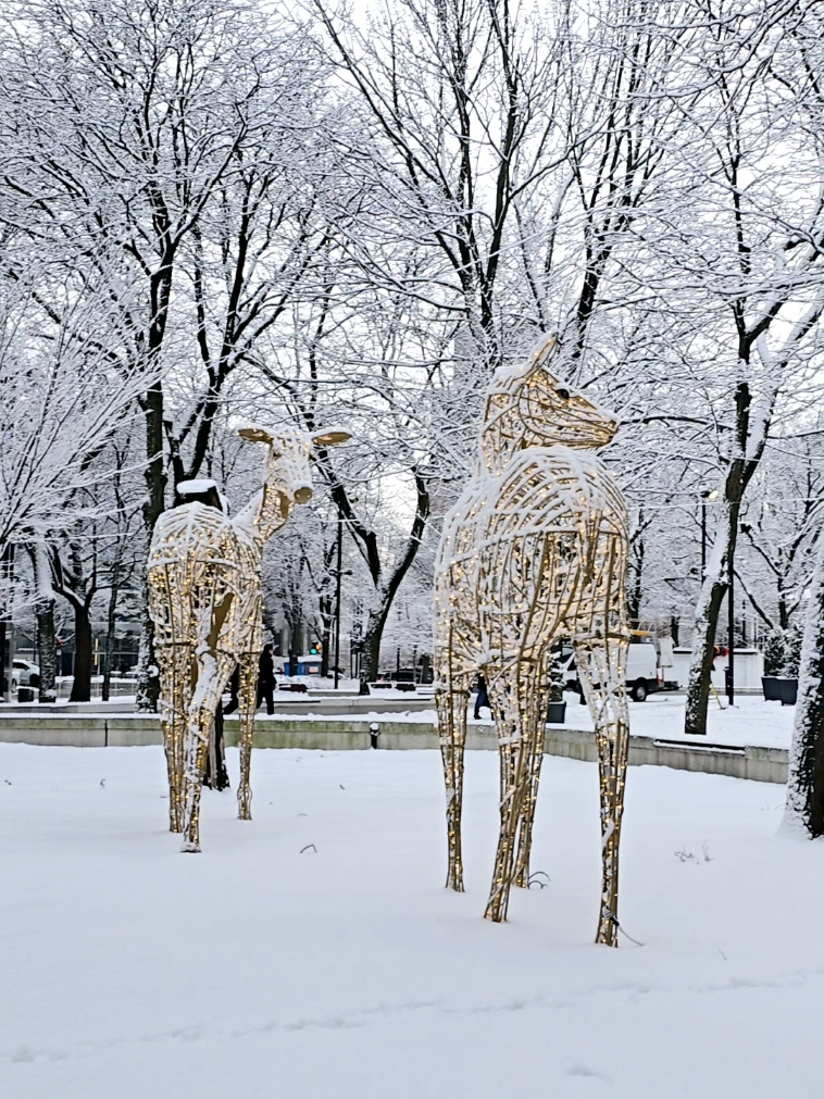 Montréal #tiktokmontreal🇨🇦 #montreal #winter #snow 