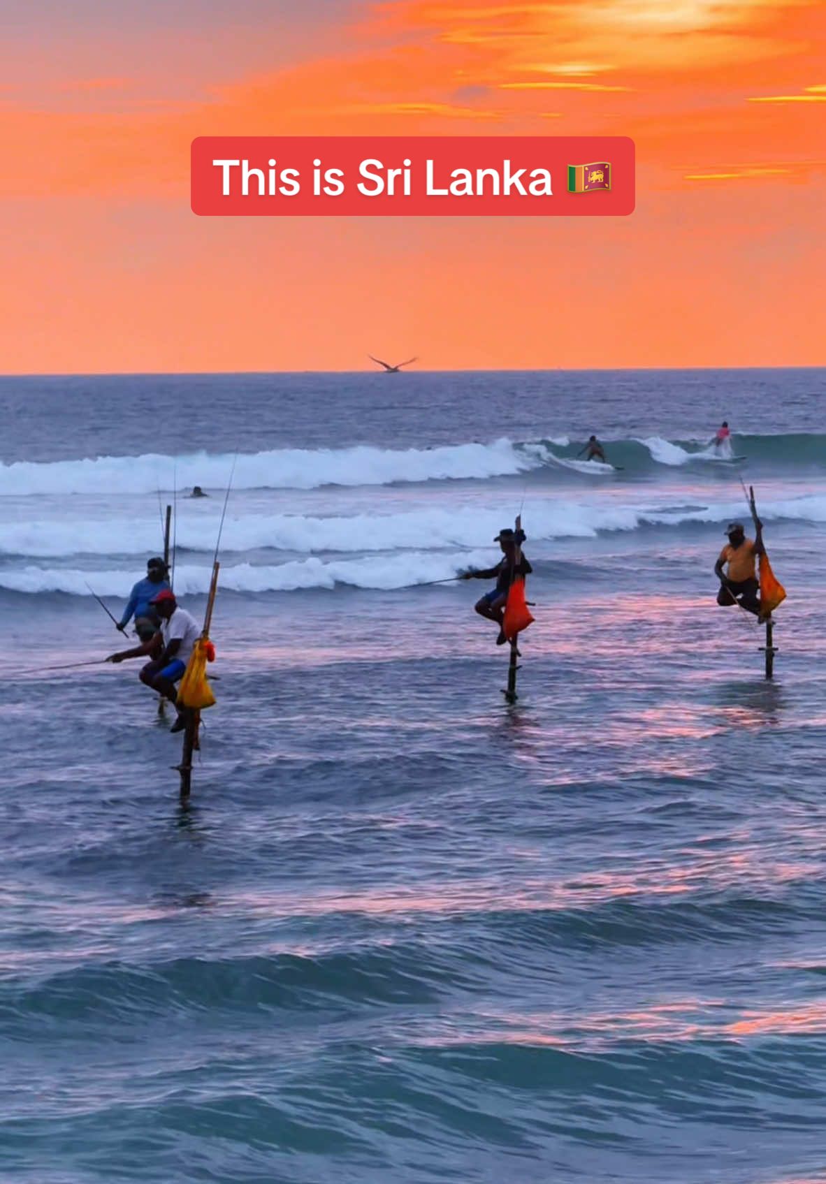 Welcome to Sri Lanka 🇱🇰 Where local traditional fishermen, surfers and the sunset meet 🌅 📍Ahangama Beach #srilanka #srilankan #ahangama 