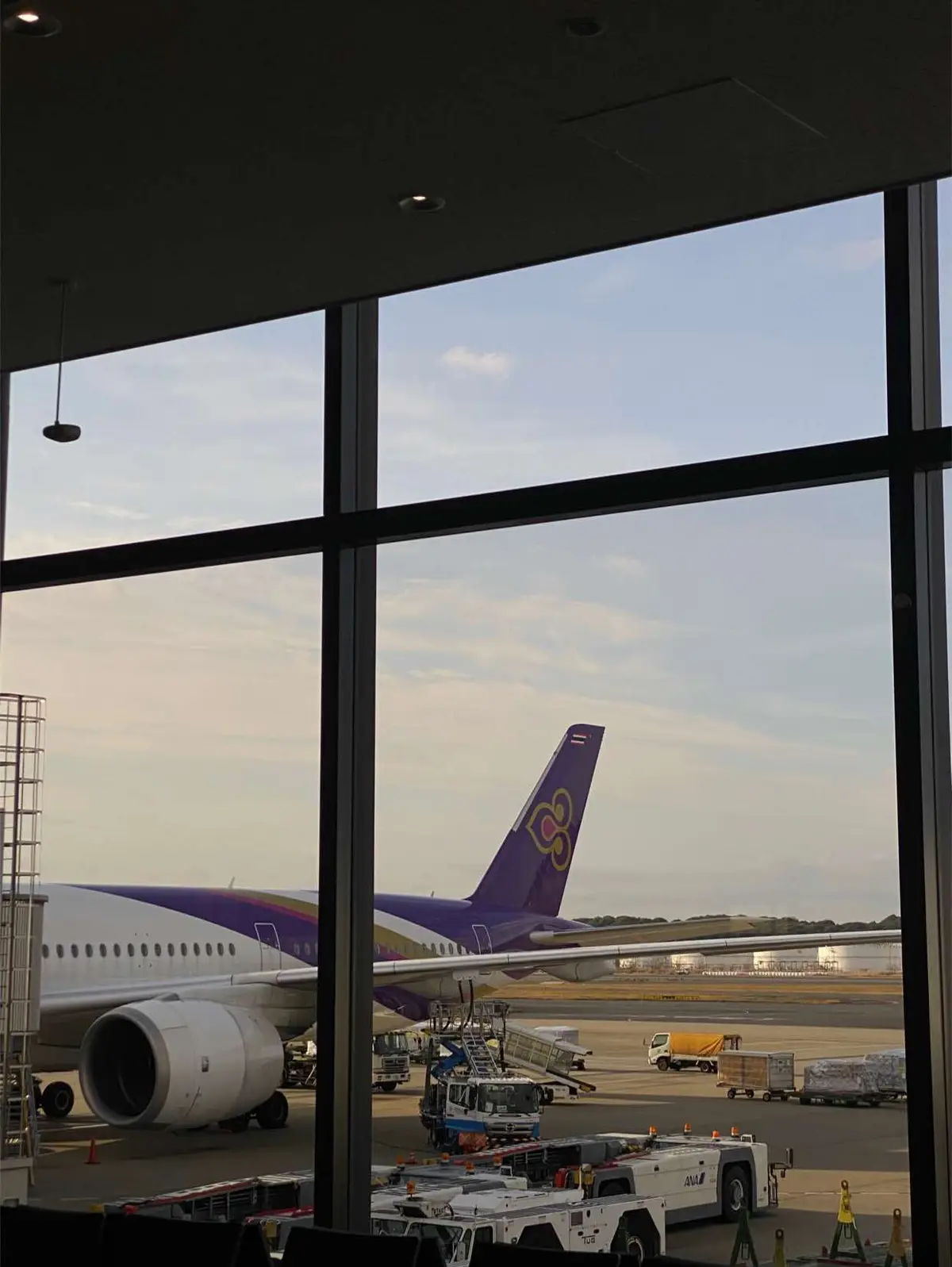 #cabincrew #thaiairways #การบินไทย 