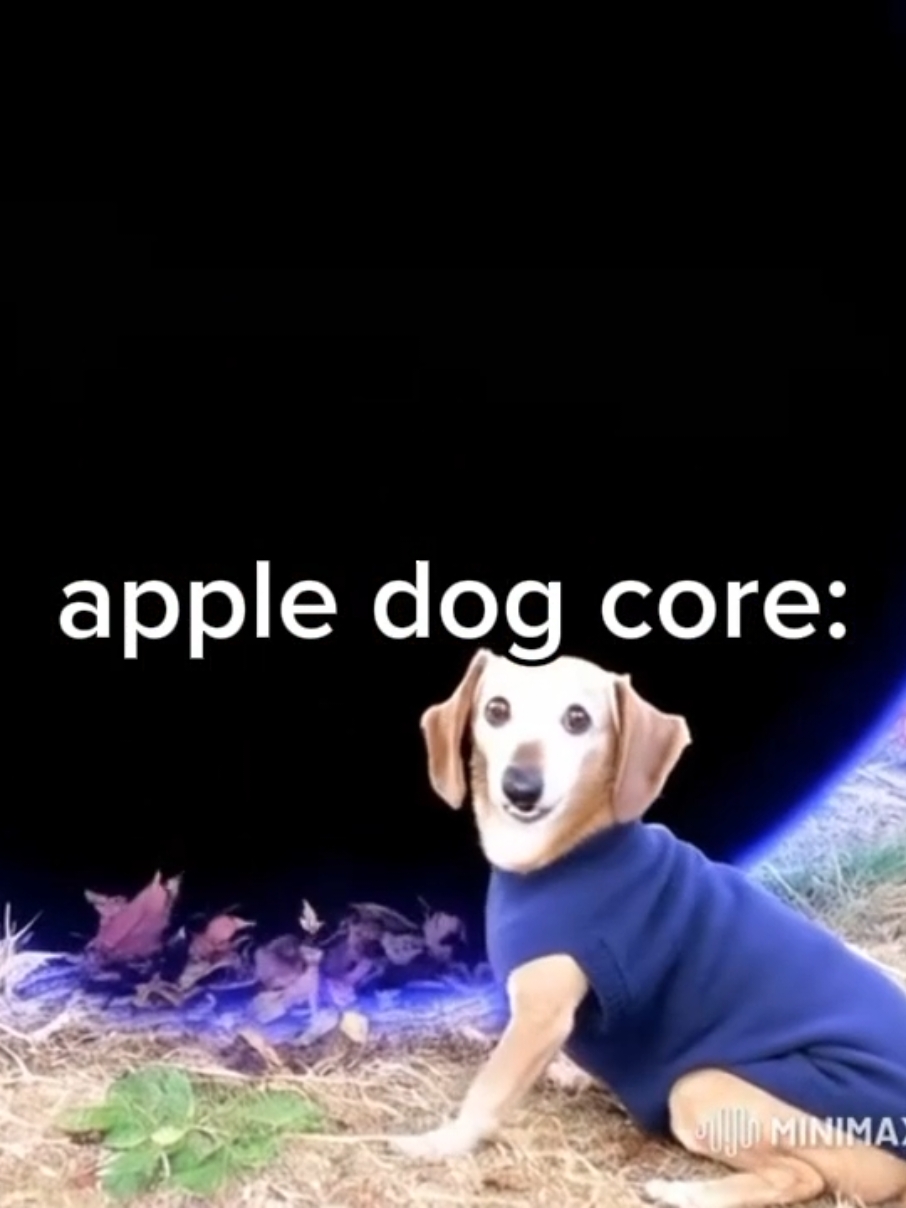 #foryoupage #fypシ #fyp #meme #appledog #aidog #dogwithapple #dog #apple #ai #funny #idk