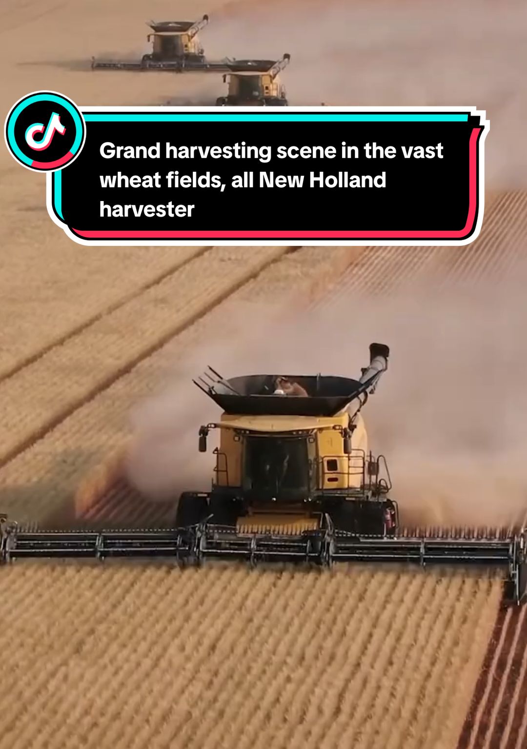 Episode 78 | Grand harvesting scene in the vast wheat fields, all New Holland harvesters #tractors #harvesters #agricultural 