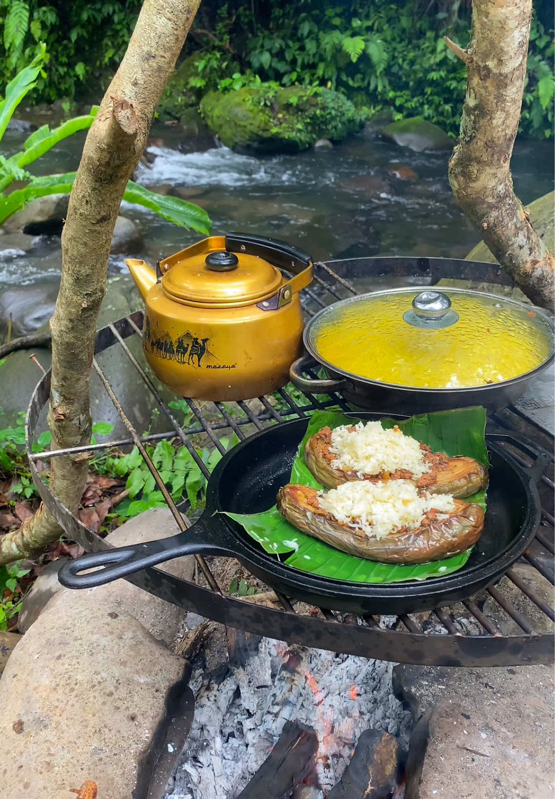 Stuffed eggplant with minced Meat and mozarella cheese 🇮🇩🔥💦🏕️🪵 (Resep terong isi daging ) #asmr #makassar #malino #nature #outdoorcooking #fyp #naturelover #terong #daging #masakansimple #meat #cheese #campfire 