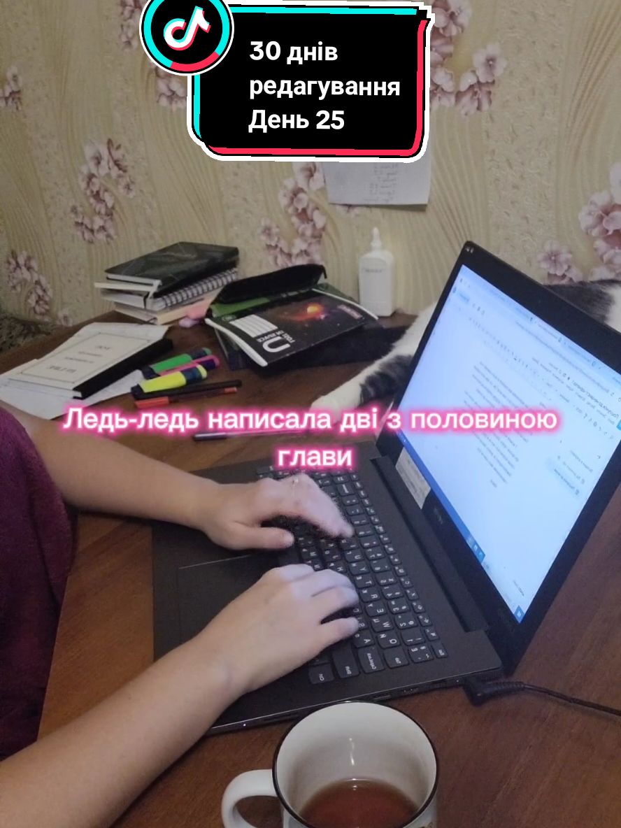 25/30📝 #написаннякниги #любовнийроман #рекомендації #редагування #nanowrimo 