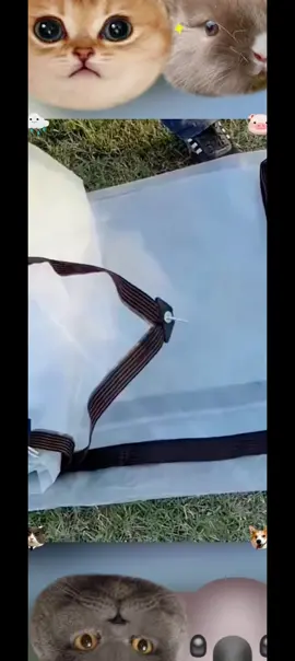 Thickened transparent waterproof cloth as transparent as glass. PVC transparent waterproof cloth, thickened balcony rain shield, rainproof cloth, canvas, waterproof cloth, plastic cloth, sun-proof awning cloth. #Balconyartifact#Awningcloth#Rainproofawningcloth#Rainyseason#Recommendedgoodproducts#follow #bestvideo #fyp #tiktok #viral #loveyoutiktok