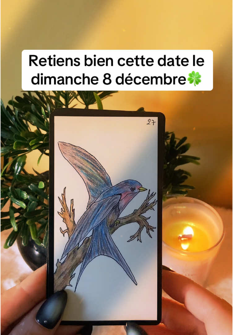 Retiens bien cette date dimanche 8 décembre, tu vas apprendre une grande nouvelle.#oracle #voyance #tarot #spiritualitytiktok #cartomancienne #cartomancie #guidance 