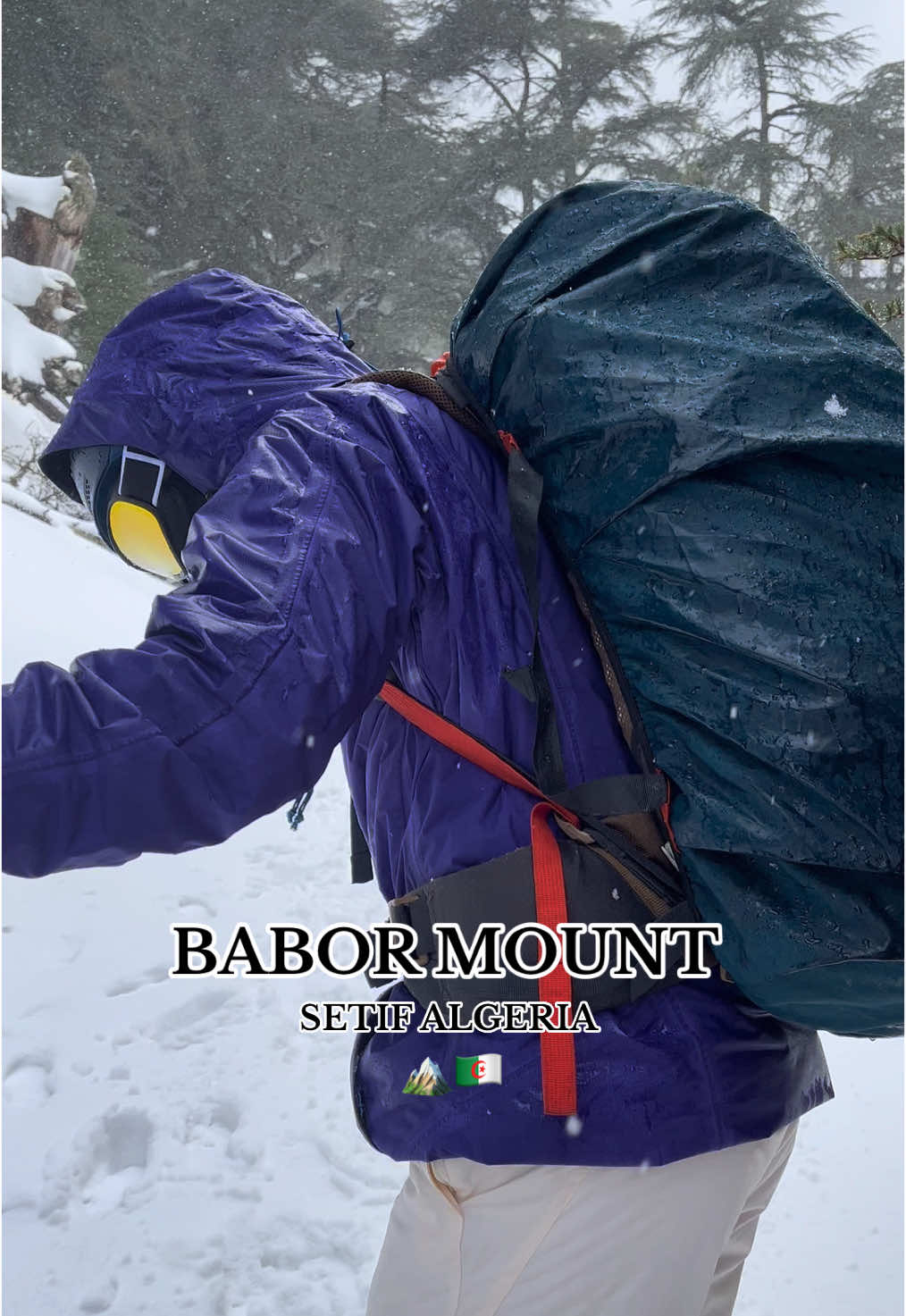 Babor mount 🏔️🇩🇿 #setif #algeria #trekking #forclaz #creatorsearchinsights #life #🇩🇿  