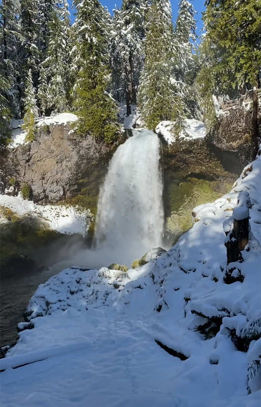 Happy Thursday! 🥳💙❄️ #pnwwaterfalls #sahaliefalls #pnw #pnwlife #waterfalltok 