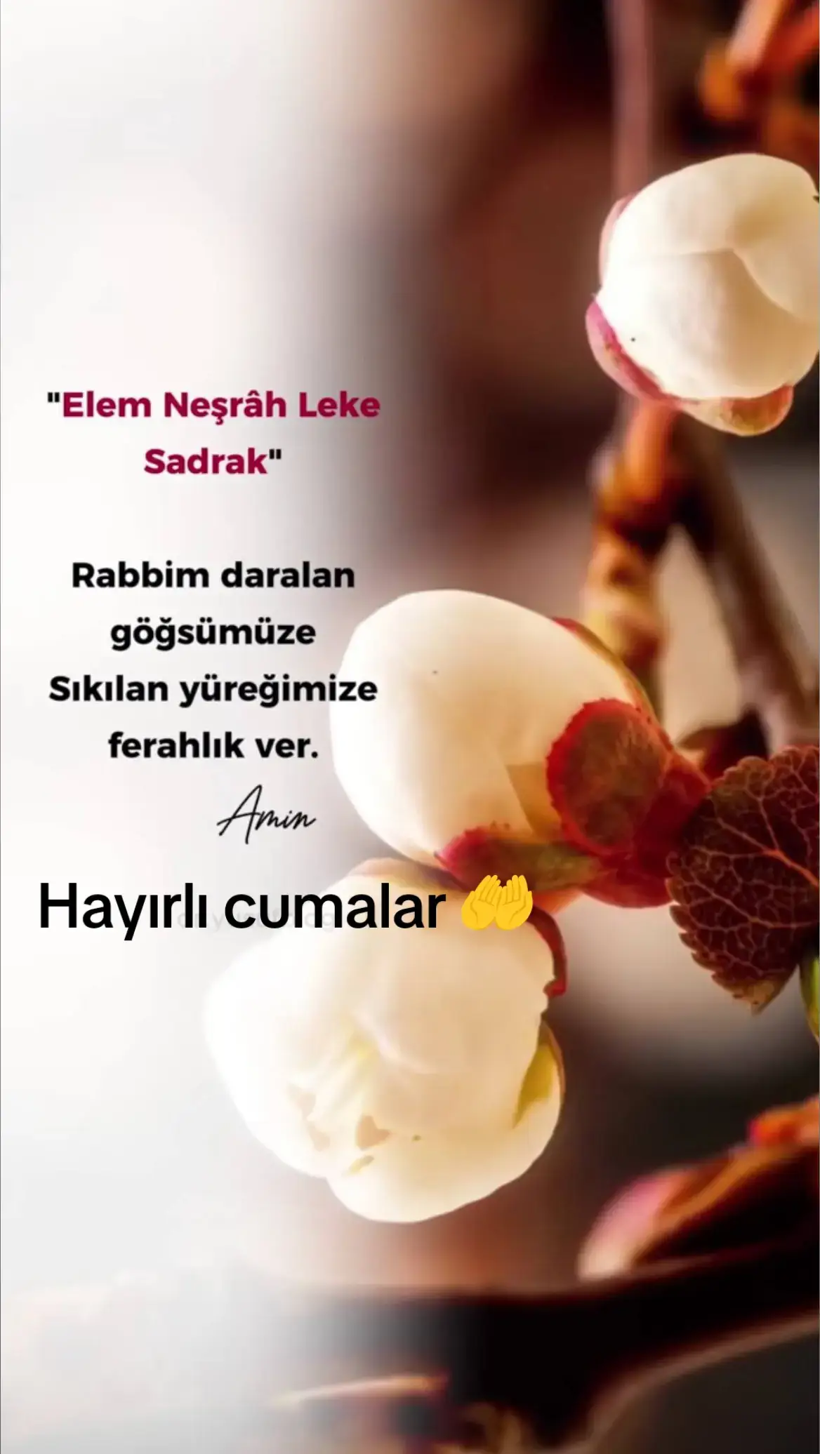 #hayırlıcumalar 🌹