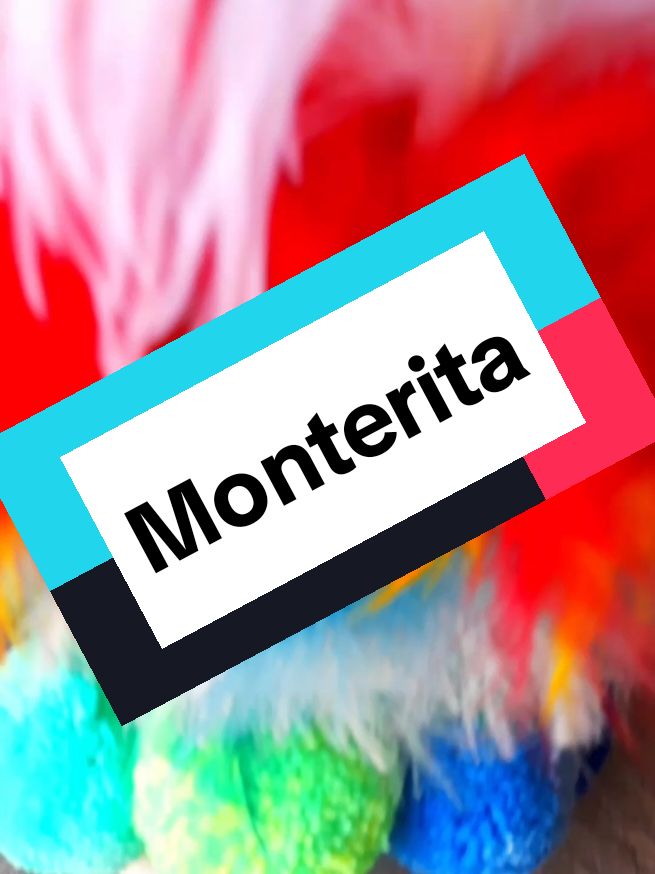 Monterita de 12 plumas ✨🇵🇪🇧🇴#monterita #artesaniasanthony #peru🇵🇪 #bolivia #unidosporunamismapasion 