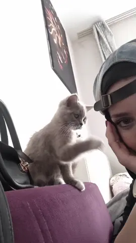 😩❤️✨️