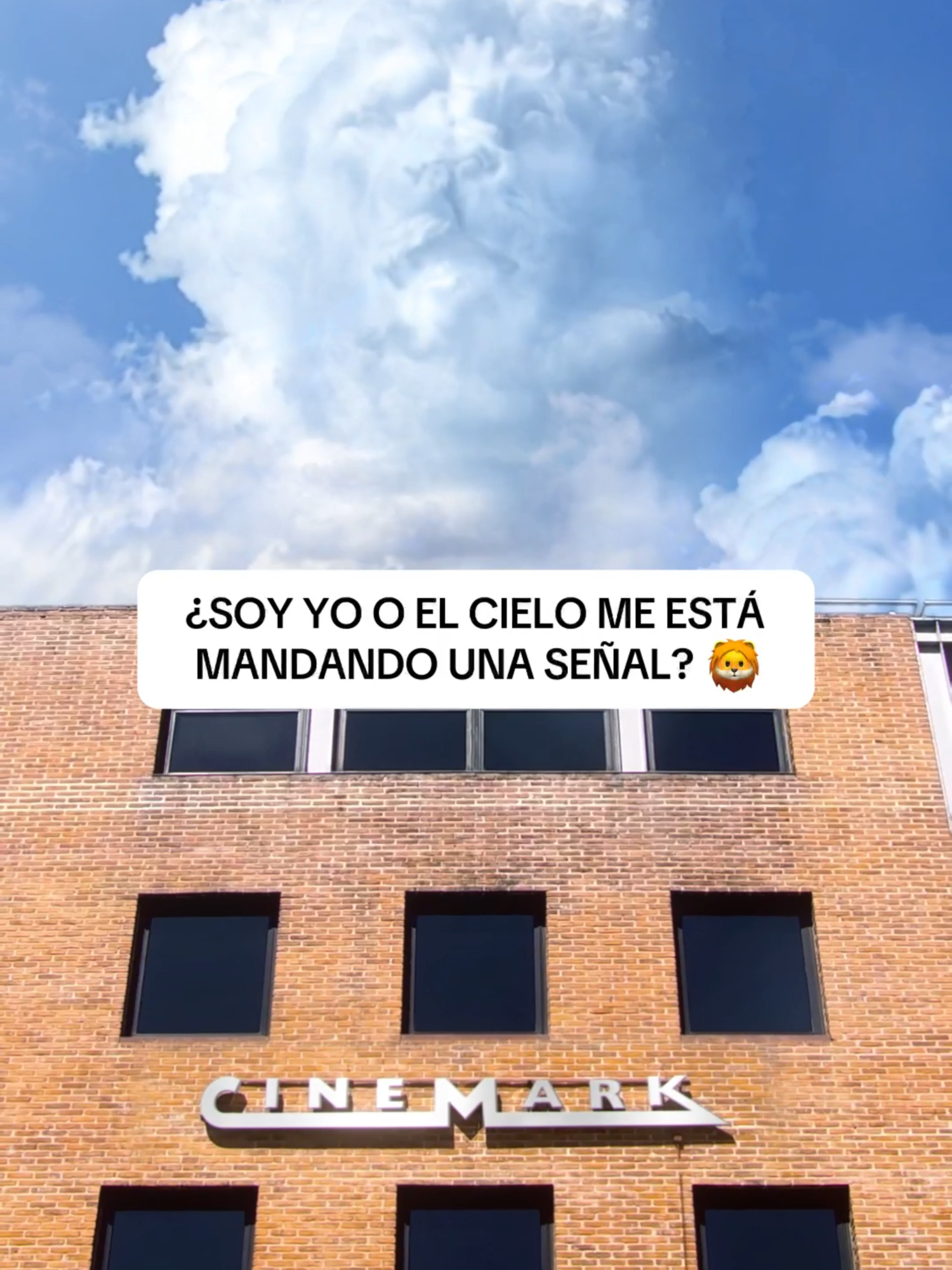 Es una señal definitivamente🙌🏻🎬 MUFASA llega a nuestros cines este 18/12 y no podes perderte la historia del León que se convirtió en rey.👑 Comprá tus entradas desde el link de nuestra bio😎🦁