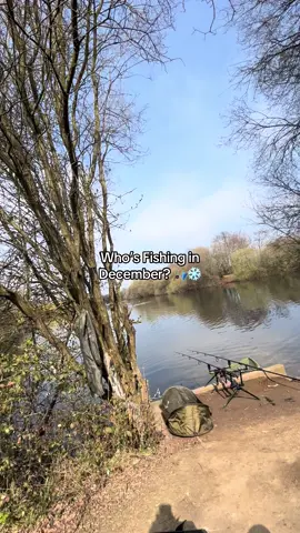 Drop it in the comments.. 🎣 #fyp #foryou #foryoupage #fishing #fishinglife #fishtok #angler #carpfishing #nayzofishing #viral 