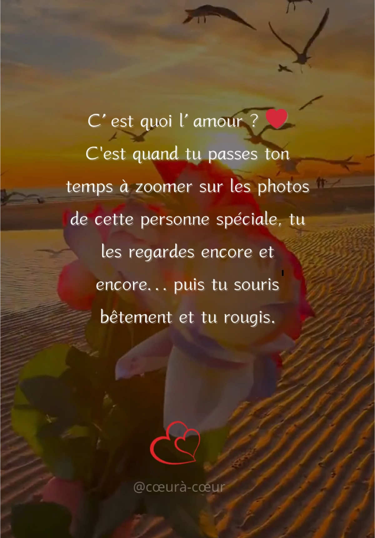 Pensées d’amour #loveyou #lover #lovers #jetaime❤ #amour #relationshiptiktok 