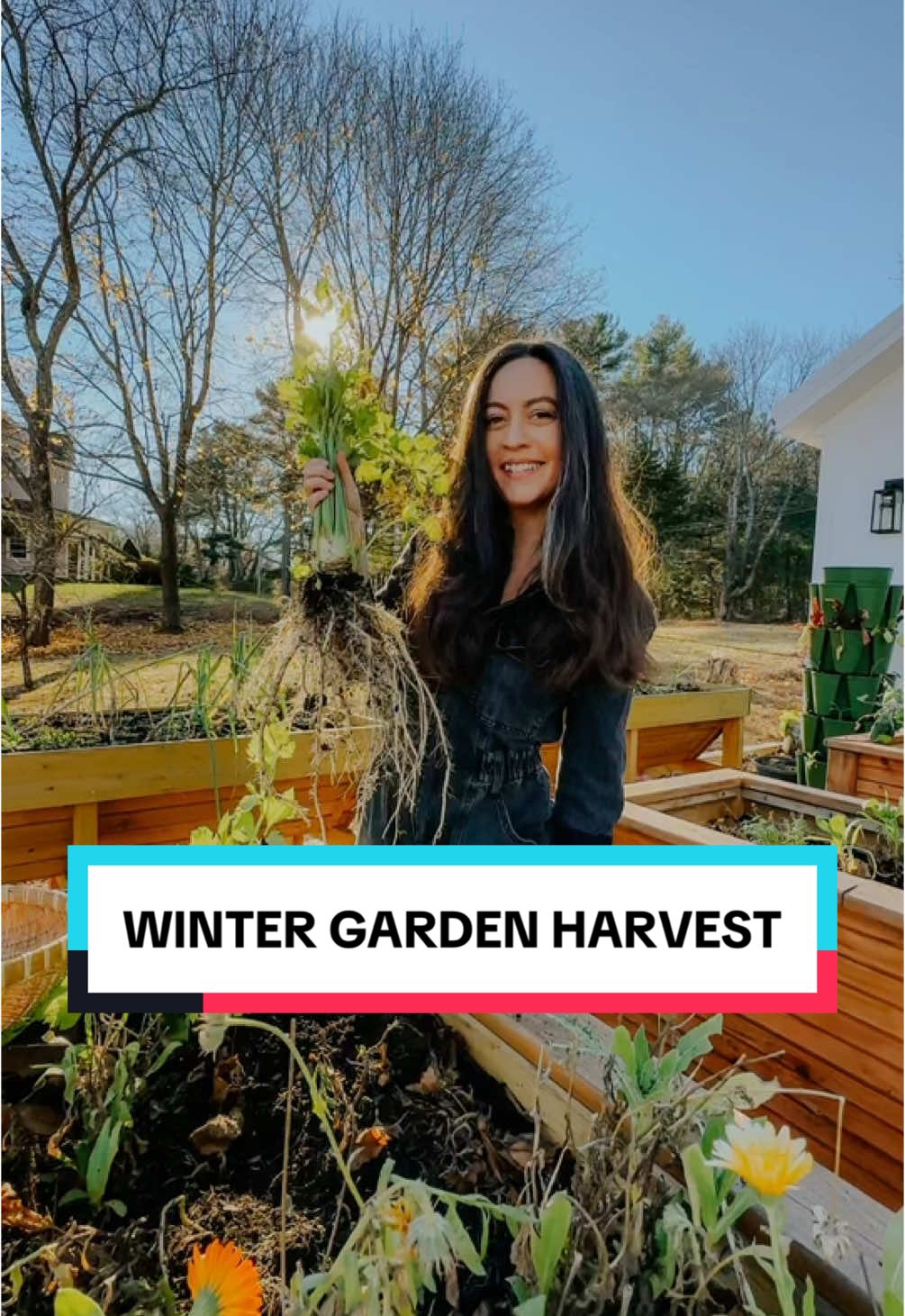 Winter garden harvest in the vegetable garden! What would you make with all of this? I think I’m most excited for the celery root this week.   #gardenharvest #harvestingvegetables #growyourownfood #growfood #growingfood #wintergarden