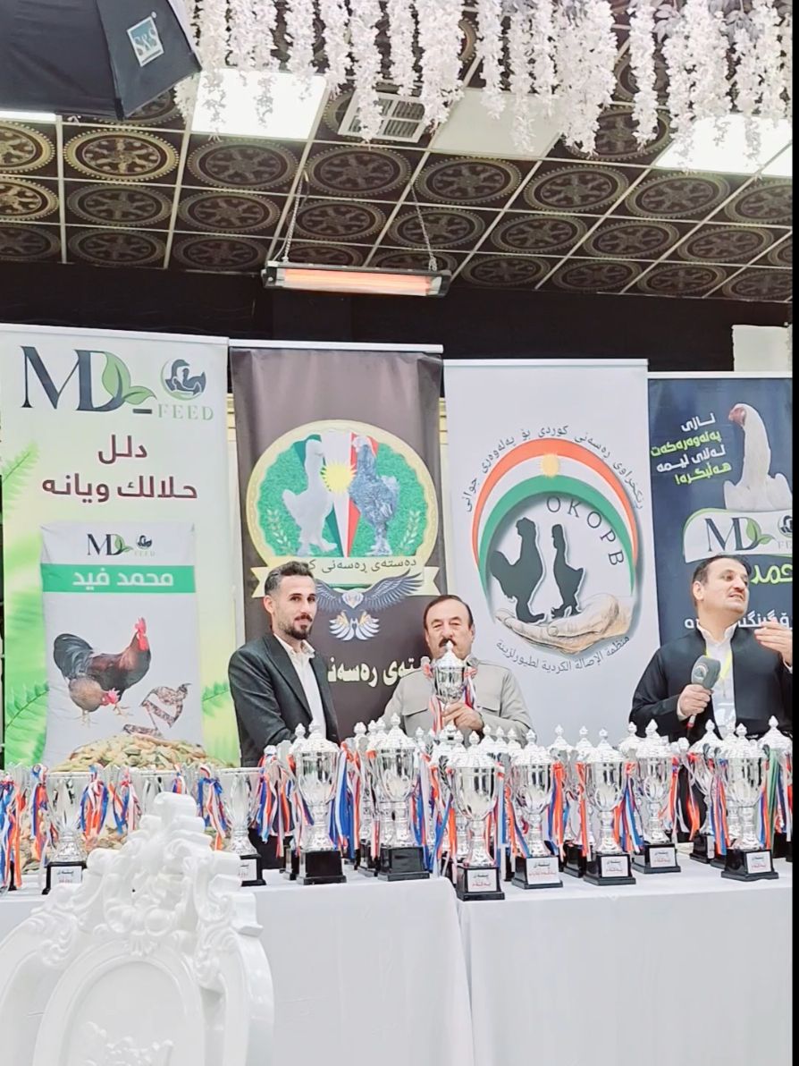 سوپاس بۆ خوا پلەی یەکەمم بەدەست هێنا لە مریشکی ڕەسەنی کوردی