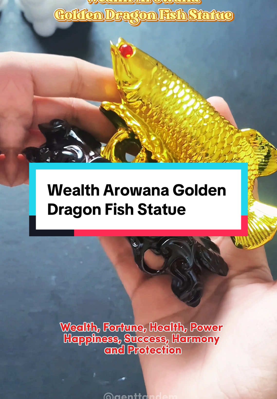 Wealth Arowana Golden Dragon Fish Statue manifesting wealth abundance happiness success power protection and health😇😇😇 #arowana #pampaswerte #success #wealth #protection #aenttandem #luckycharm 