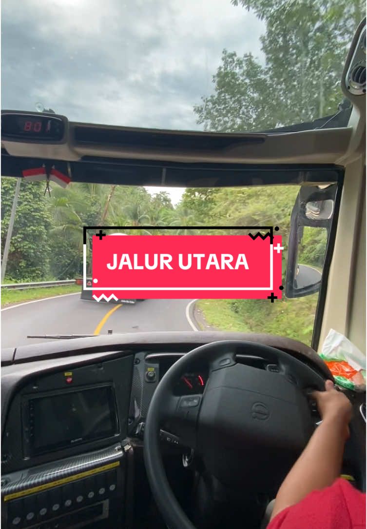 GAYA JALUR UTARA SULAWESI #bus #bis #transportation #celebesbislovers #bussulawesi 