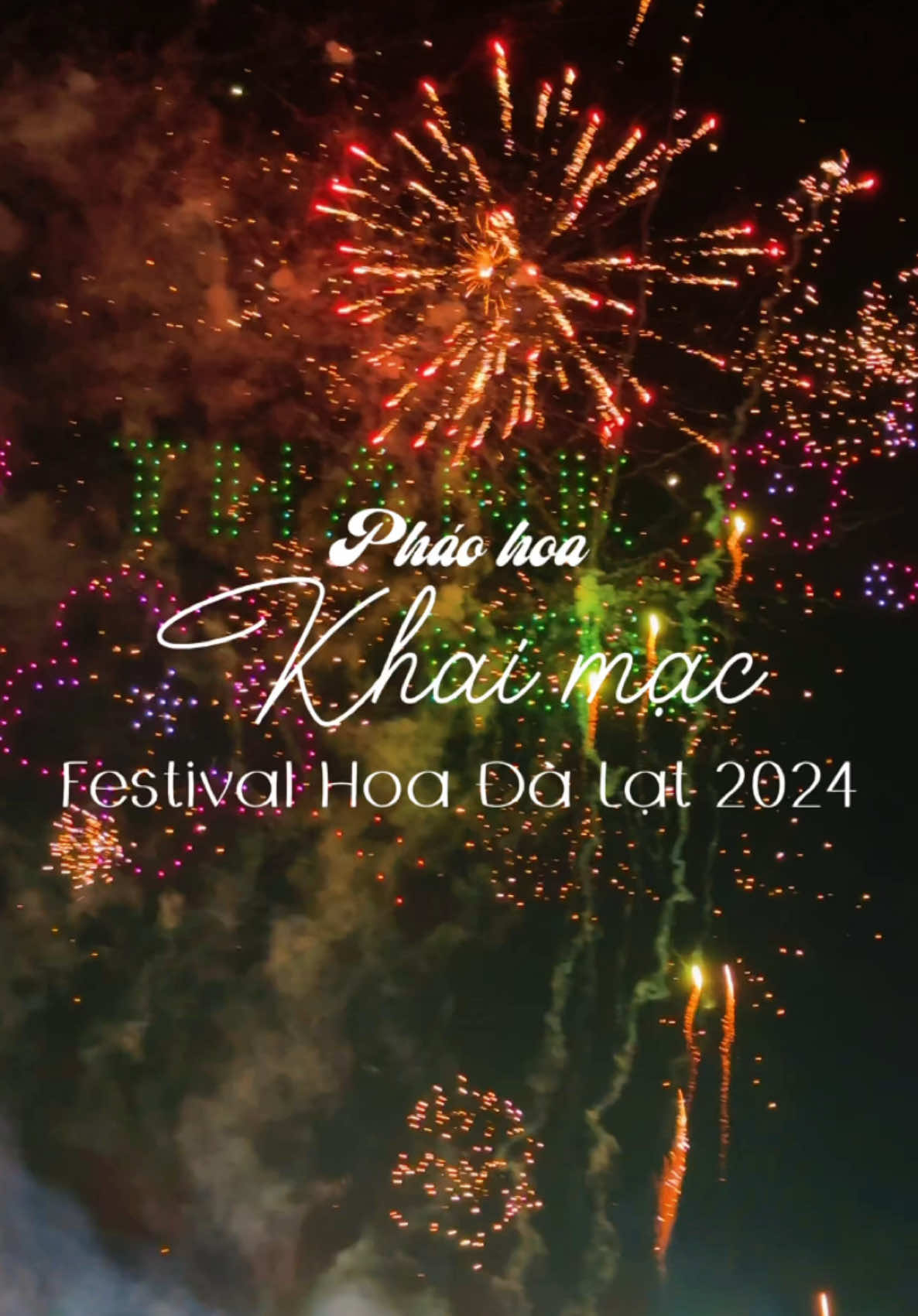 khai mạc festival hoa đà lạt 2024 #dalat #dalatreview #fyp #xuhuong2024 #festival 