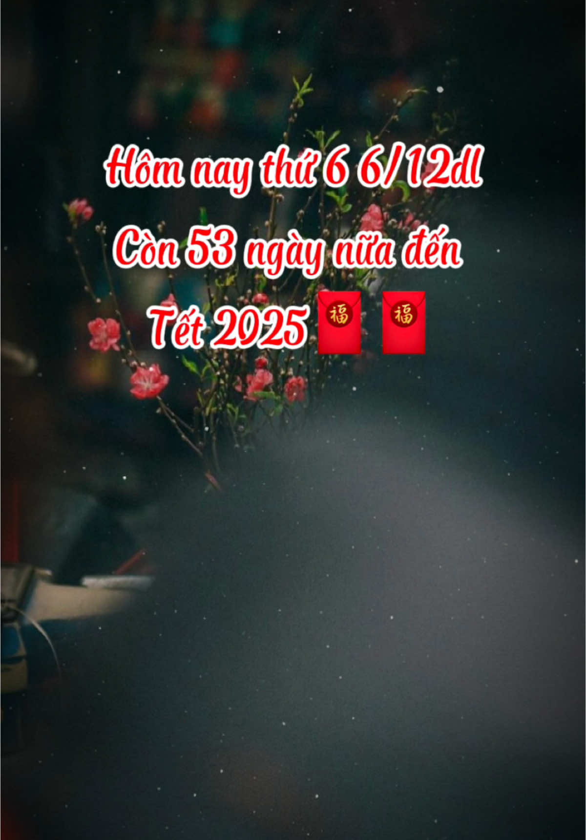 Tim💕 nếu như bạn đang nôn tết giống mình nha. Còn 53 ngày nữa nha mn #tet2025 