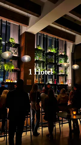 @1hotels are simply breathtaking and amazing! Each one has a different layout and design perfect for an elevated experience. @1hotel.nashville offers breathtaking views at their rooftop lounge Harriet’s which is at most of their locations. If you’re looking for one in The Bay Area @1hotel.sanfrancisco is the nearest location.  . . . #booziebrunch #bayareablogger #nashvilletennessee #nashvillegram #nashvillelife #1hotel