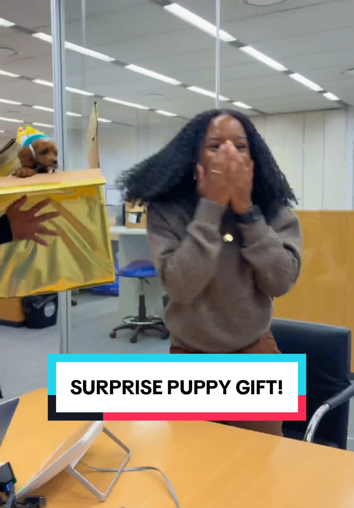 We made up a meeting about pets and surprised her! #dogsoftiktok #surprise 