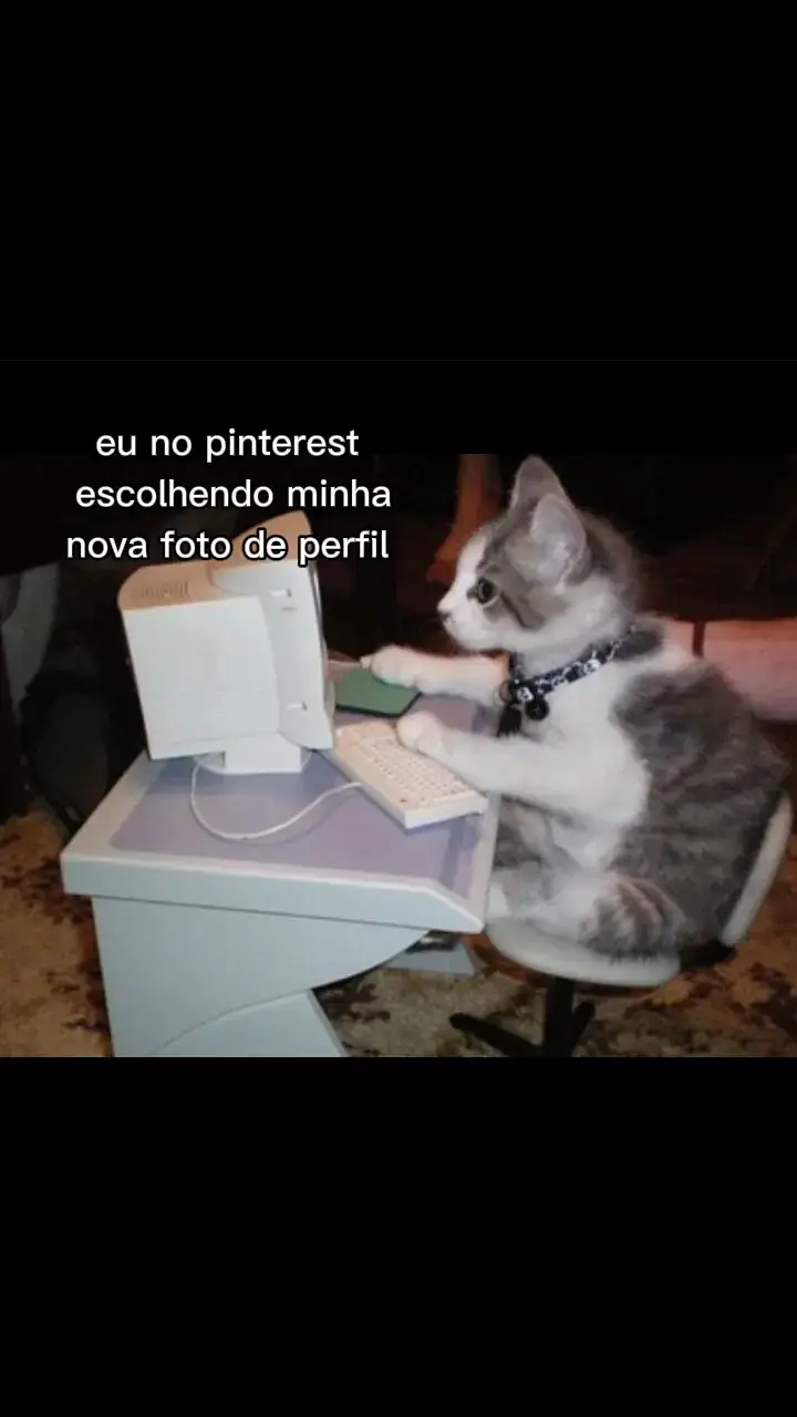 ib: ?? eu quero dar pra ele, ele nem imagina 🫦 #gato #pinterest #querodarpraele 