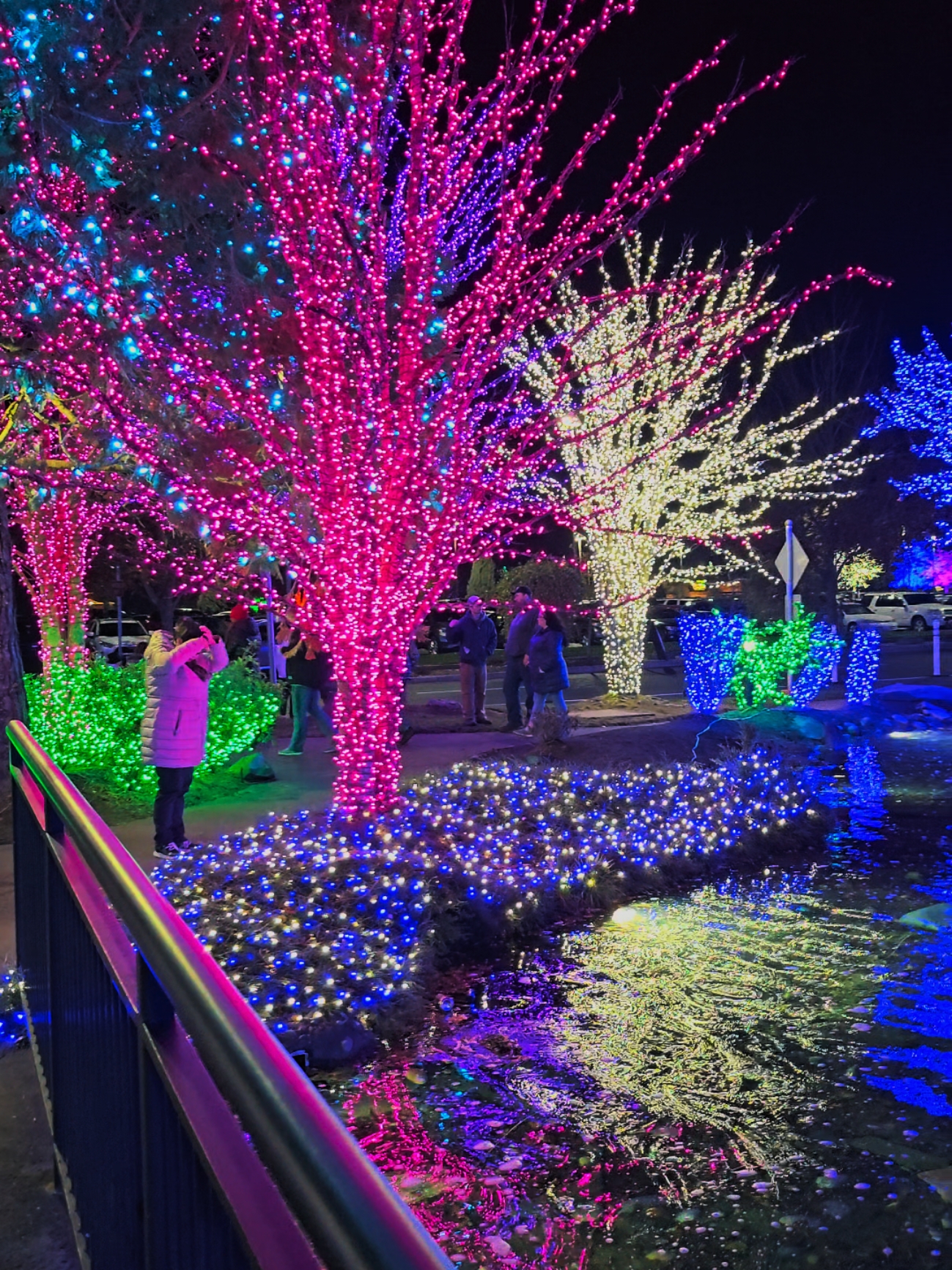 Luces Navideñas de Tulalip Casino📍. Es GRATIS para entrar ! 🎄 #christmas #navidad #winter #tulalip #christmaslights #viralvideo #viraltiktok #washington #washingtonstate 