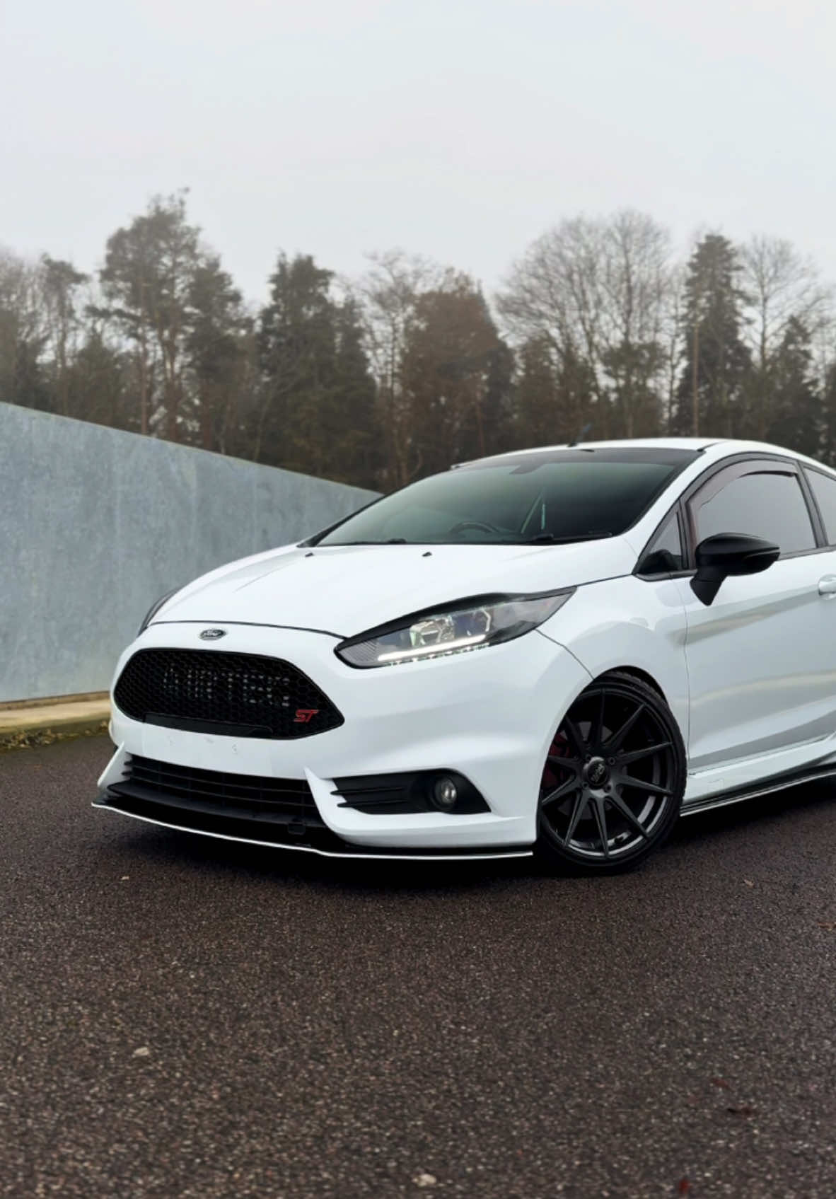 Fiesta ST3 Mk7 🌪️ - -@RIOFMJ📸 - -Use code 