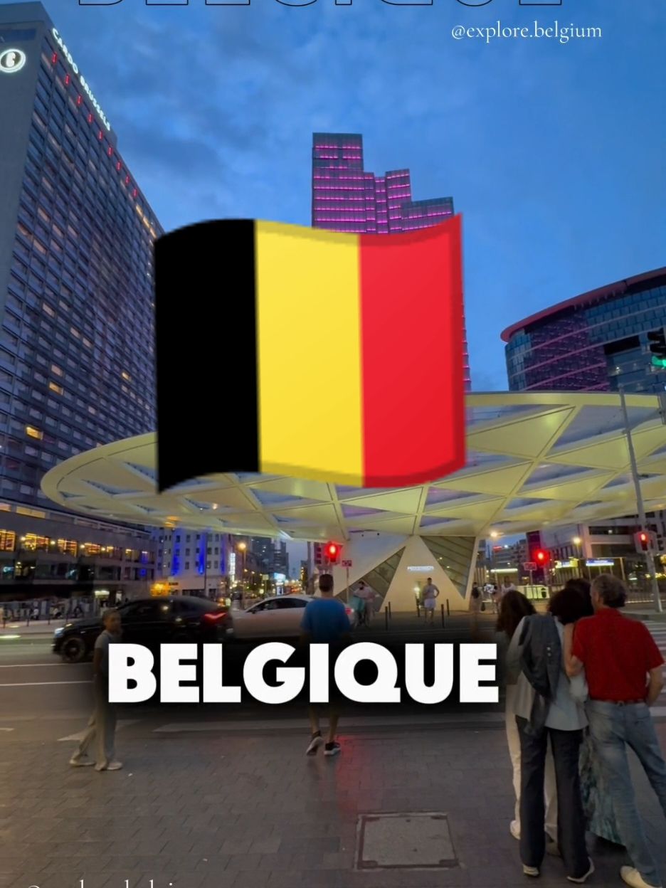 Connaître la Belgique 🇧🇪 en 1 minute. #pays #voyage #tourisme #tourismefrance #top #top10 #ville #belgique #belgique🇧🇪 #belgique_bruxelle🇧🇪 #belgiquetiktok #bruxelles #bruxelles🇧🇪 #anvers #charleroi #kevindebruyne #edenhazard #roiphilippe #roiphilippedebelgique #france #france🇫🇷 