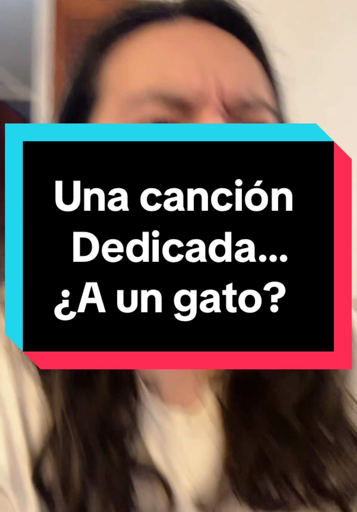 Limón y Sal ¿era para un gato? #julietavenegas #limonysal #cancion #amor #musica #gatos #gato 