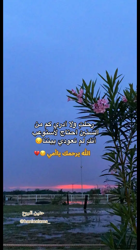 #رحل_من_كان_في_الدنيا_مجملها_ومحليها #حنين_الروح #اشتقتلك_امي💔😔 #tiktok #اللهم_صل_وسلم_على_نبينا_محمد 