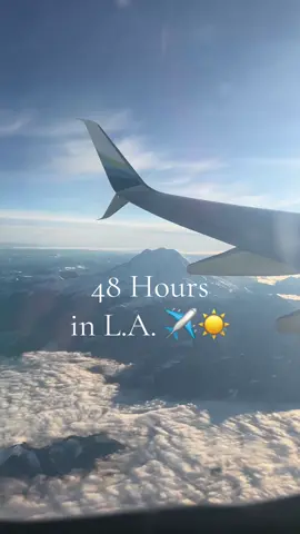 Celebrity guest appearance by my husband! 🤣🥰 #thanksgivingbreak #creatorsearchinsights #travel #thingstodoinlosangeles 