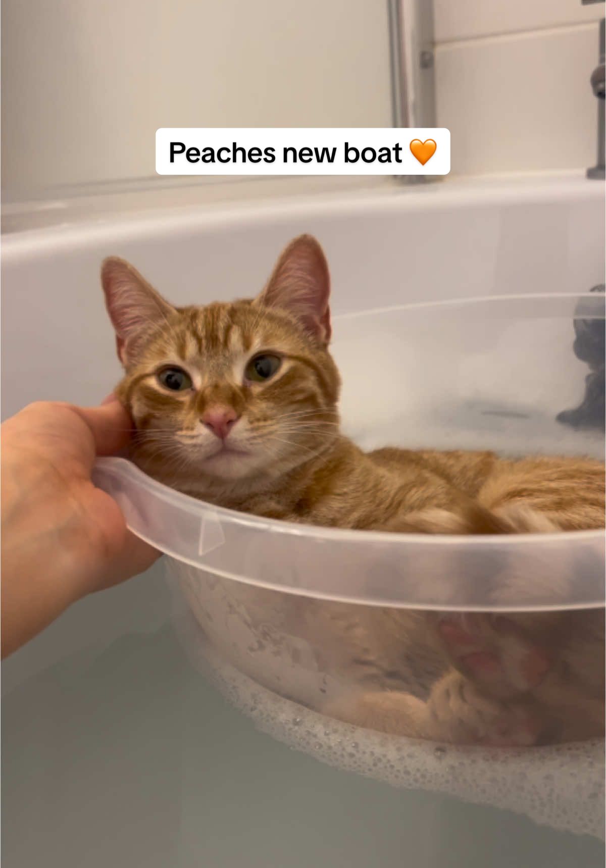 Peaches new boat 🥺🧡