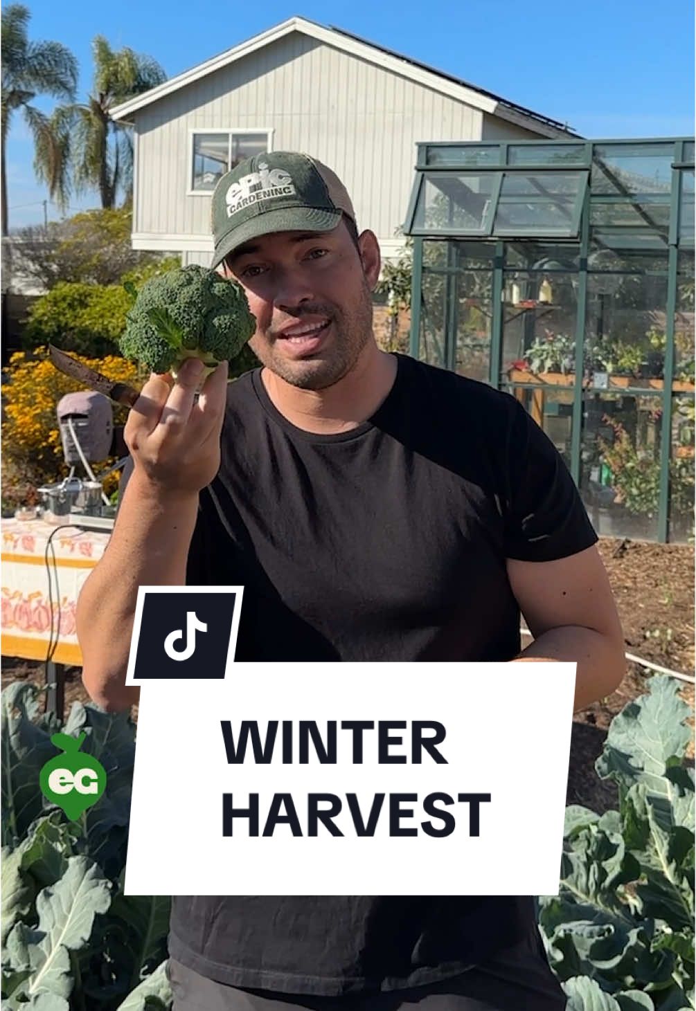 Winter harvesting at its best ❄️ Fresh broccoli, cauliflower, bananas, and even some eggs straight from the backyard. Nature’s pantry is open all year round—join me! 🧑🏻‍🌾