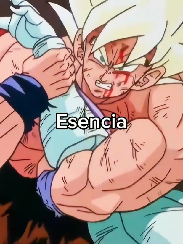 Esencia. #dbz #songoku #esencia #aura #dragonball #dragonballz #