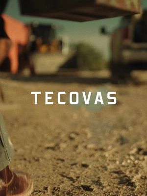 Introducing Tecovas WORK. Shop the collection.