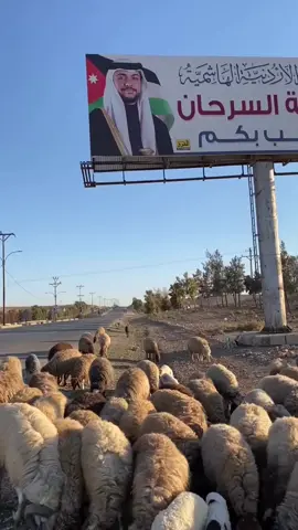 #اكسبلوررر 