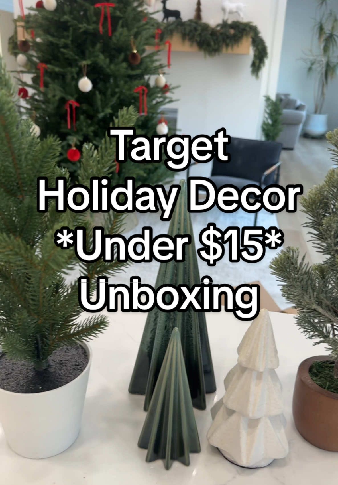 Ive gotten so many good hoiday decor items from Target this year. These were all $15 and under! #targetfinds #targethauls #targethaul #targetmusthaves #targettok #targetstyle #targetstore #holidaydecor #holidaydecorating #holidaydecorations #christmasdecor #christmasdecorating #christmasdecorations #christmasdecorideas #fyp @target