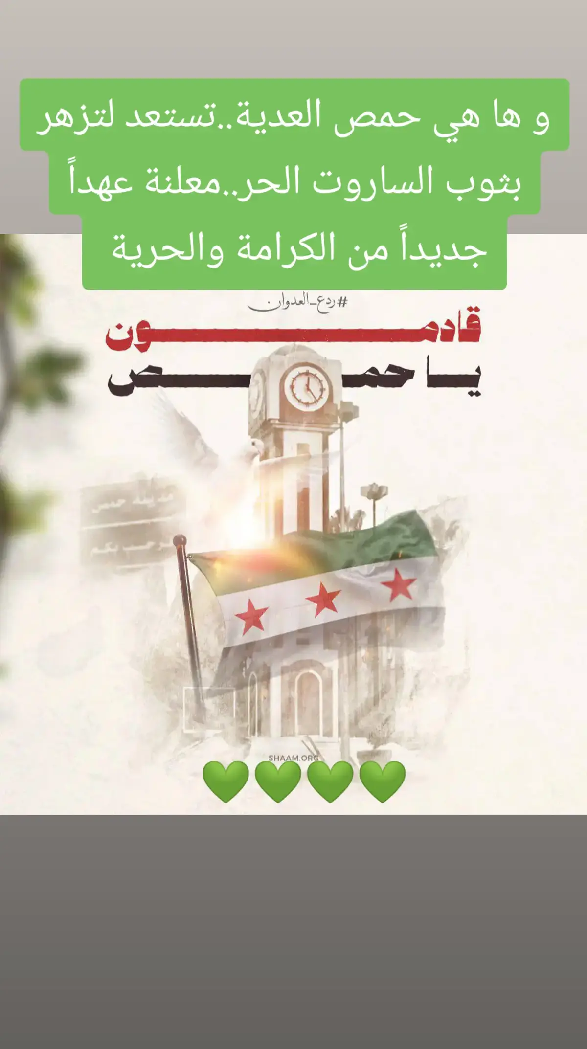 #حمص_العدية #الاخضر💚 #حماة #ادلب_الخضراء #حلب_الشهباء #يسعدلي__اوقاتڪۘم_حبايبي♥️🕊🙋‍♀️ #الاخضر💚 #مصر_السعوديه_العراق_فلسطين #المانيا_السويد_النمسا_النروج_دينيمارك #حرة 