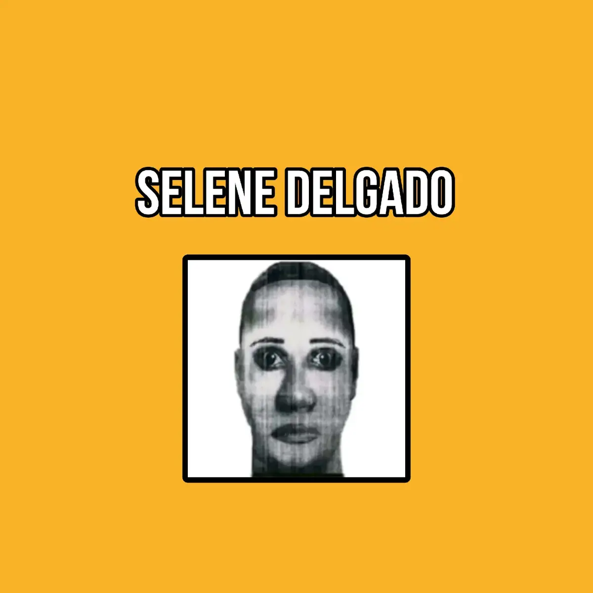 #selenedelgadolopez #selenedelgado #analoghorror #horrortok 