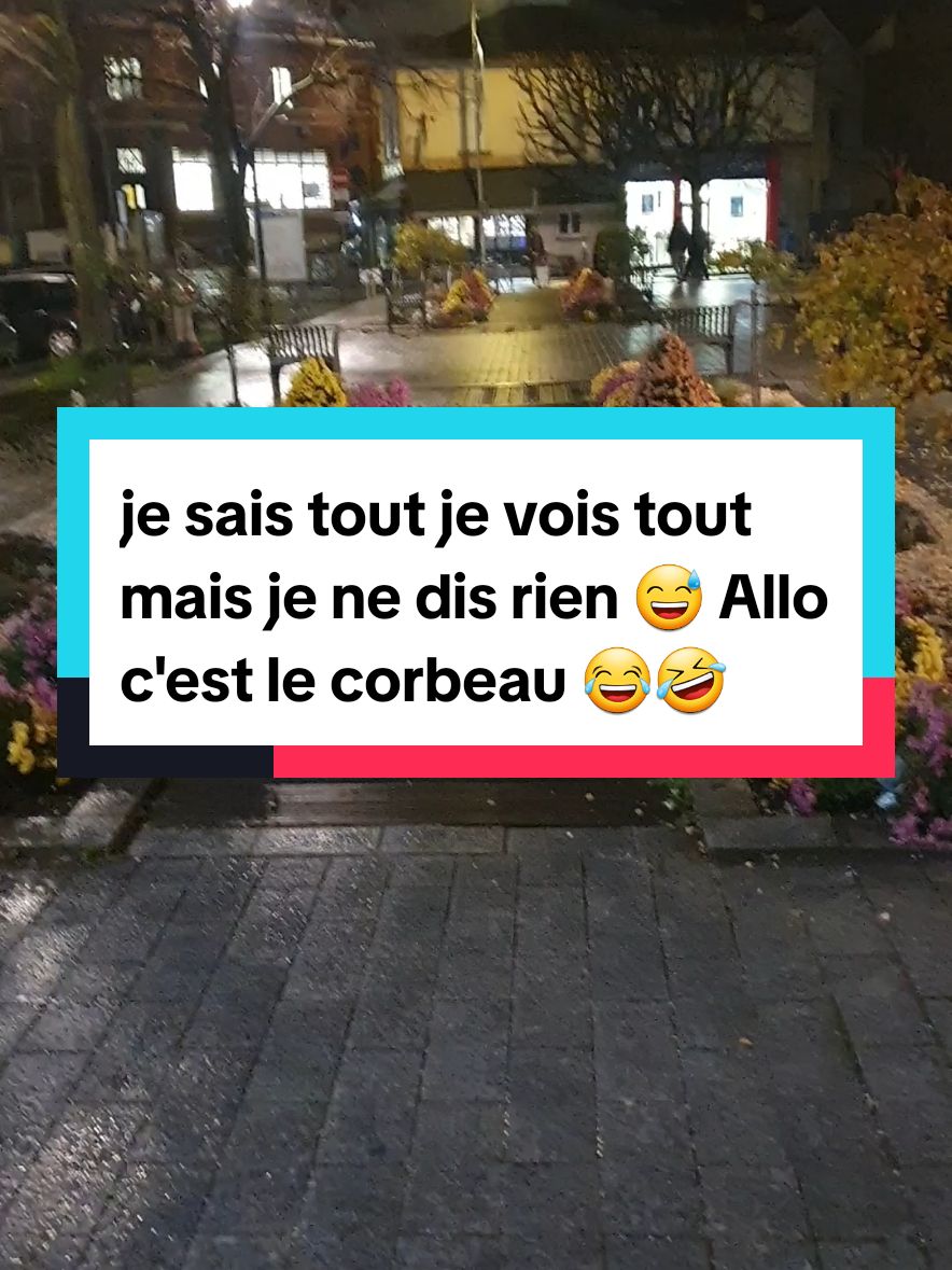 je sais tout je vois tout mais je ne dis rien 😅 Allo c'est le corbeau 🤣#blague #mort_de_rire😂 #fou #dinguo #très_drôle #fares_usc #😂🤣😂🤣😂🤣 #fou #humour #mdr #rire_tiktok #rire #ptdr #corbeau #blague #fyp 