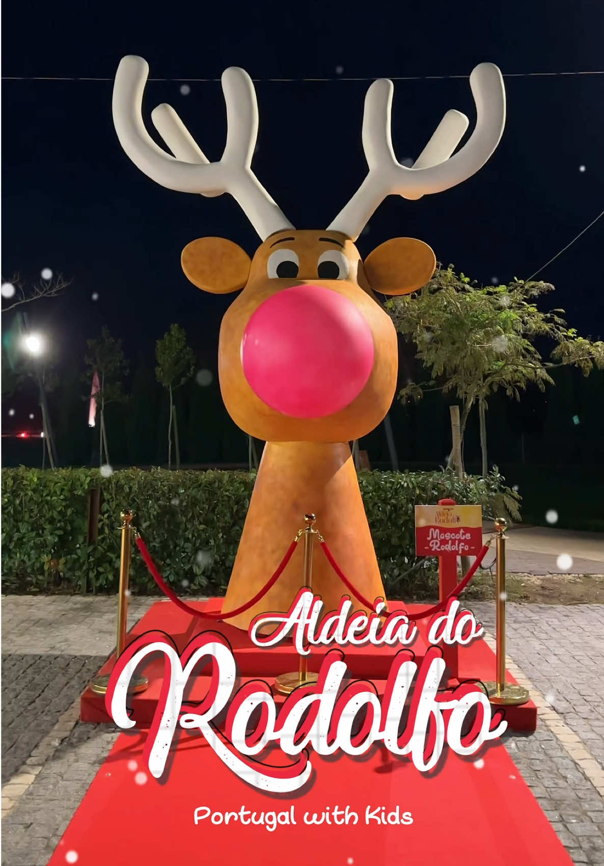 💫 ALDEIA DO RODOLFO  📍 Anadia, Aveiro Preços:  Pista de Gelo: * 2ª-Feira - 6ª-Feira: Crianças até 12 anos - 1,50€ Adultos - 2,50€ Golfinho- 1.00€ * Sab, Dom, Feriados: Crianças até 12 anos - 2,00€ Adultos - 3,00€ * Carrossel - Gratuito  * Comboio de Natal - Gratuito Data: 30 Nov - 6 Jan #portugalwithkids #anadia #aveiro #agueda #aldeiadenatal #natal #portugalcomcriancas #viladenatal  