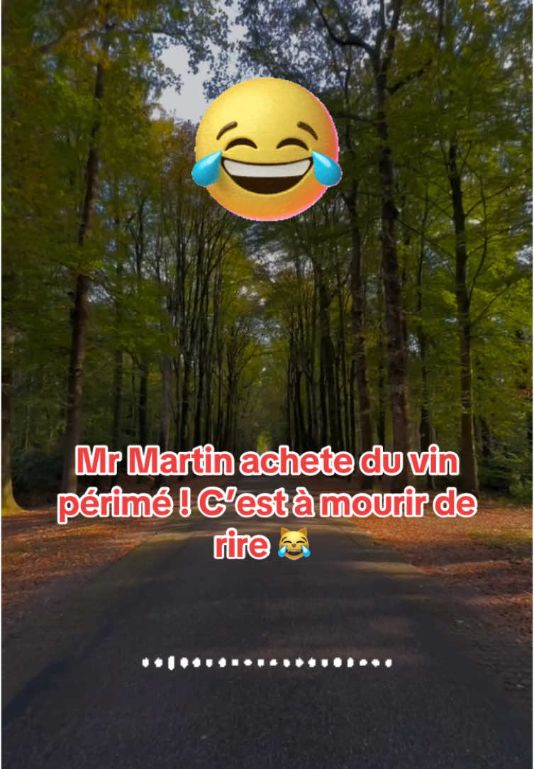 Mr Martin achete du vin périmé ! C’est à mourir de rire 😹  #canulartelephonique #canular #rireetchanson #mrmartin 