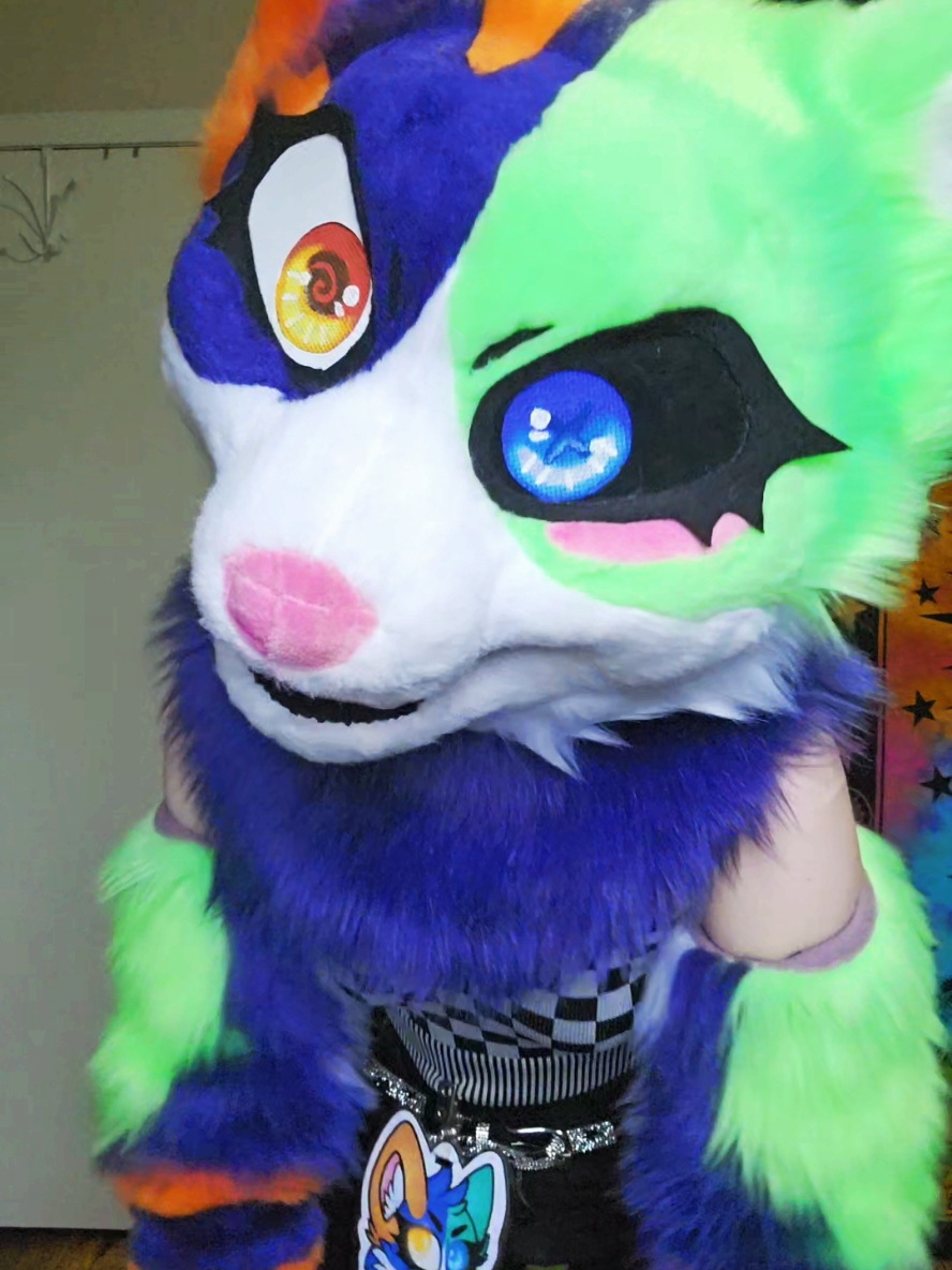 Mind your biz 🙄 #furry #fursuit #fur #furryfandom #furrytiktok #fursuiter #fursona #furries #fursuitersoftiktok #fursuiters #cat 