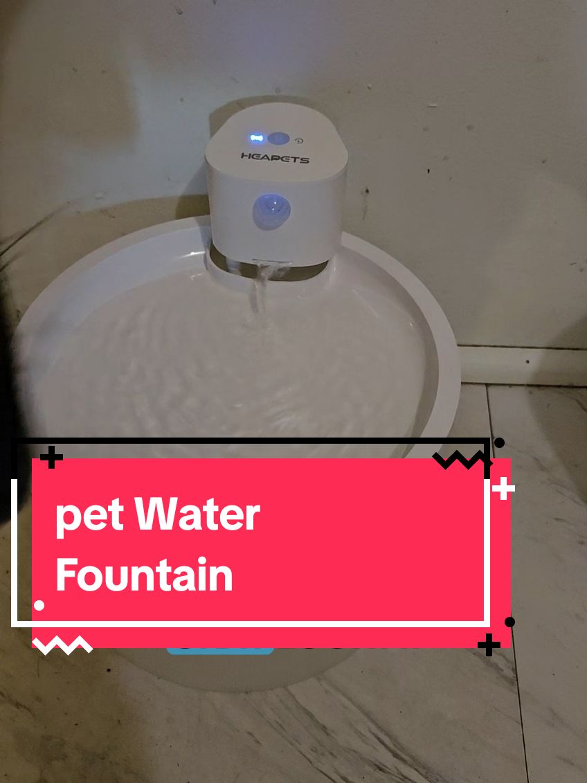 #dogsoftiktok #catsoftiktok #heapets #petwaterfountain #pets #PetsOfTikTok #holidayhaul 