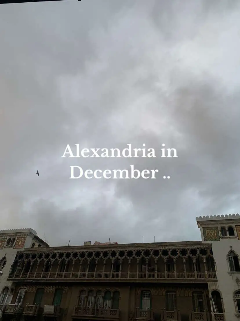 The magical beauty of Alexandria in winter🤍🌨️ #alexandria #wintervibes #fyp #explore 