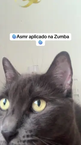 Asmr aplicado na minha gata. #asmr #satisfyingvideo #satisfying #asmrvideo #satisfatório 