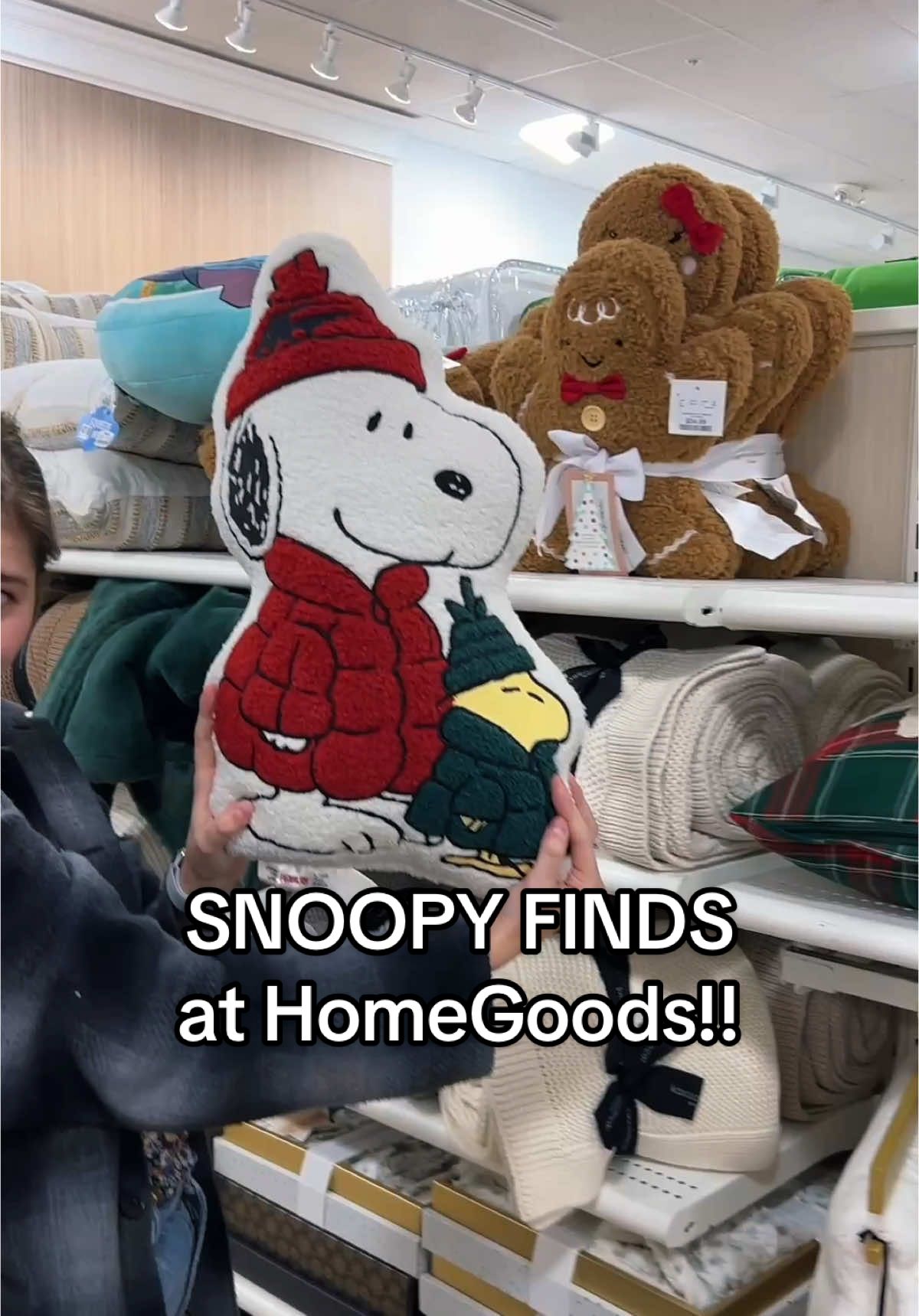 HomeGoods vlog!! (except most of the things we find are Snoopy items 🤭) I put the items I could find online on my LTK!✨🔗 #snoopy #snoopychristmas #snoopydog #homegoods #homegoodsfinds #homegoodshaul #tjmaxx #tjmaxxfinds #tjmaxxhaul #marshalls #marshallsfinds #christmasdecor @Snoopy @HomeGoods 